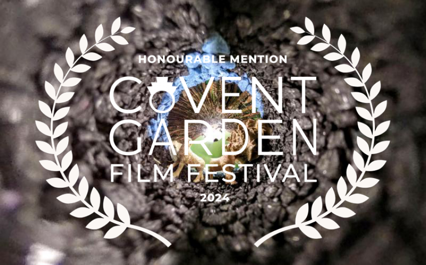 Award at Covent Garden Film Festival 