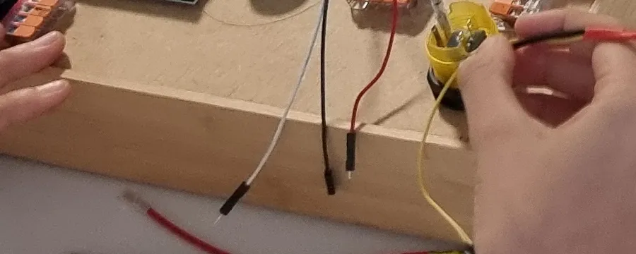 We Are Spielentwicklung