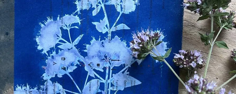 Cyanotype
