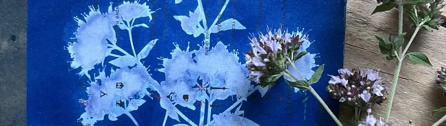 Cyanotype